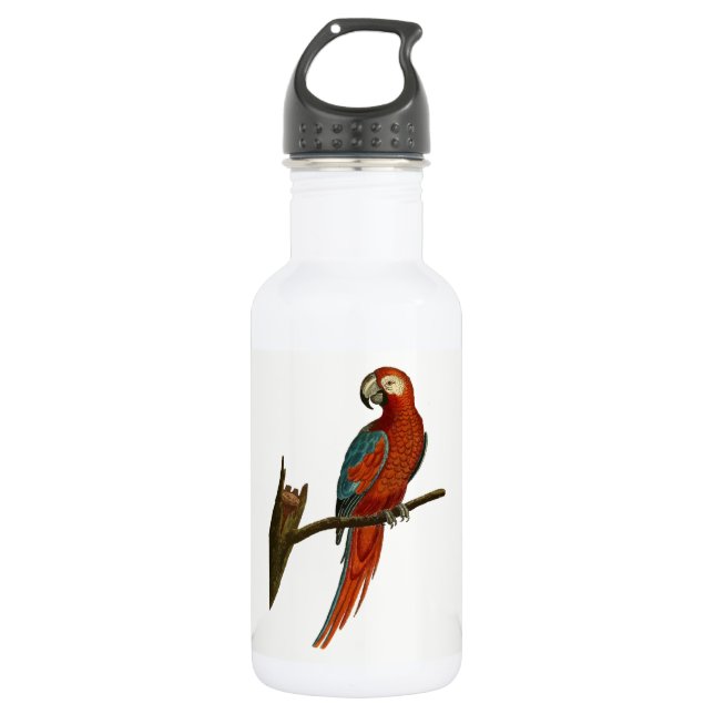 Paprot Trinkflasche (Vorderseite)