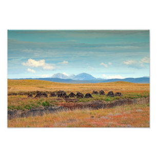 Paps aus Jura aus Islay, Schottland Fotodruck