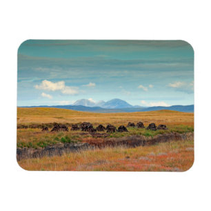 Paps aus Jura aus Islay, Schottland Magnet