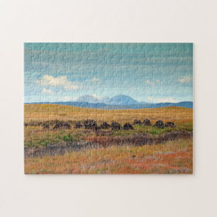 Paps of Jura von Islay, Schottland