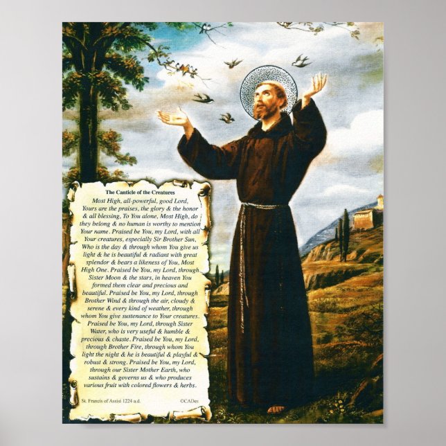 Papst Franziskus Hoch der Kreaturen St. Francis Poster (Vorne)
