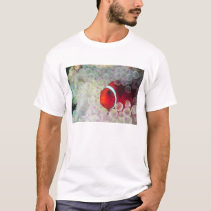 Papua-Neuguinea, Great Barrier Reef, T-Shirt
