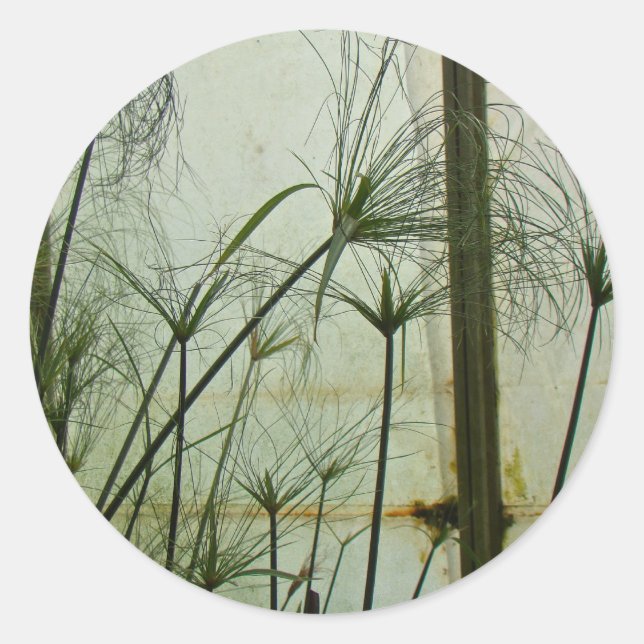 Papyrus Runder Aufkleber (Vorderseite)