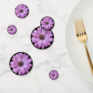 Pâquerette Violette sur Confettis Noirs