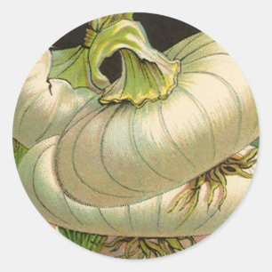 Paquet de semences vintage Étiquette Art Blanc Ber