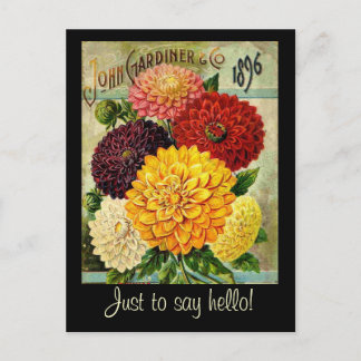 Paquet vintage de graines de fleurs - Carte postal