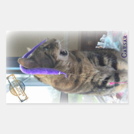 PAR Caesar Aufkleber