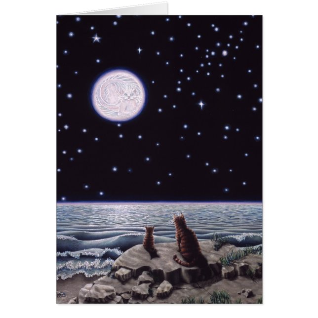 Par la lumière de la lune de poissons de chat (Devant)