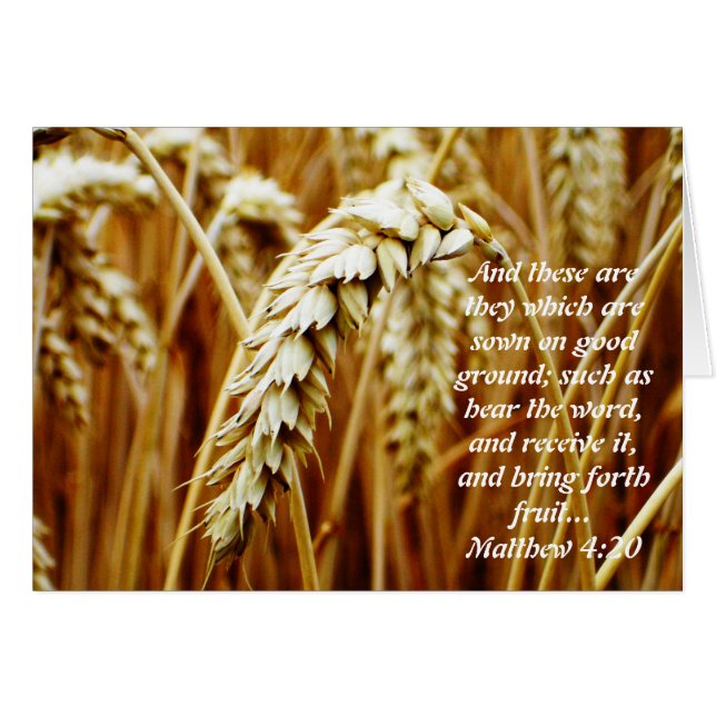 Parabole de la carte blanche d'alimentation (Devant horizontal)