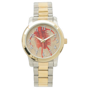 Paraceraurus Fossil Trilobit Armbanduhr