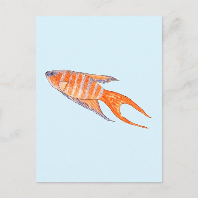 Paradies Fisch, Aquarell. Postkarte (Vorderseite)