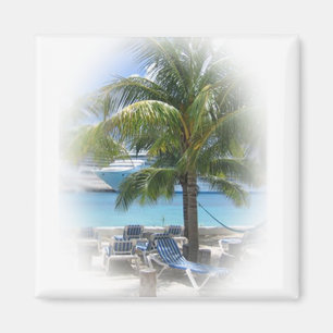 Paradies Magnet