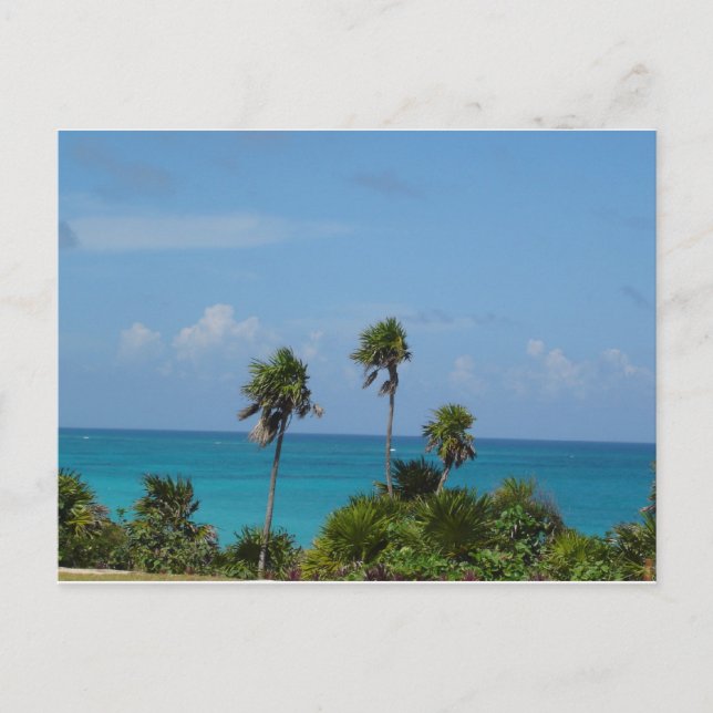 Paradies Postkarte (Vorderseite)