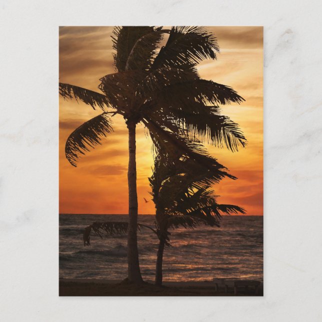 Paradies-Silhouette Postkarte (Vorderseite)
