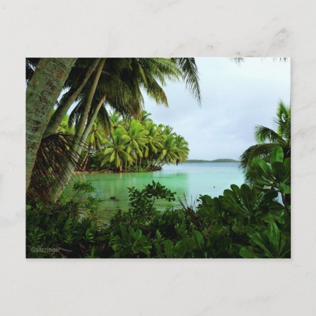 Paradies türkisfarbenes Wasser und Palmen Postkarte (Vorderseite)