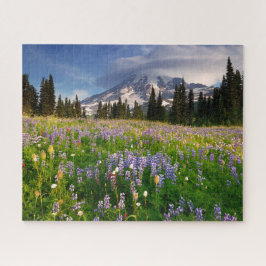 Paradies Wildblume Wiese auf dem Rainier