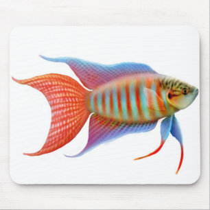 Paradiesgourami-Fische Mousepad