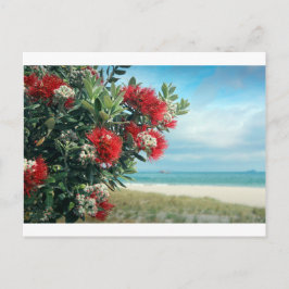Paradiesstrand Rote Blume Neuseeland Sommer Postkarte