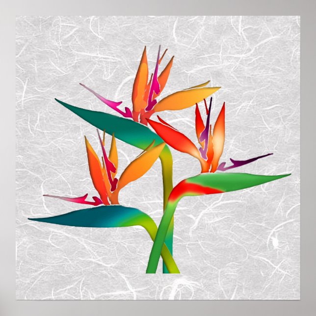 Paradiestrio Poster (Vorne)