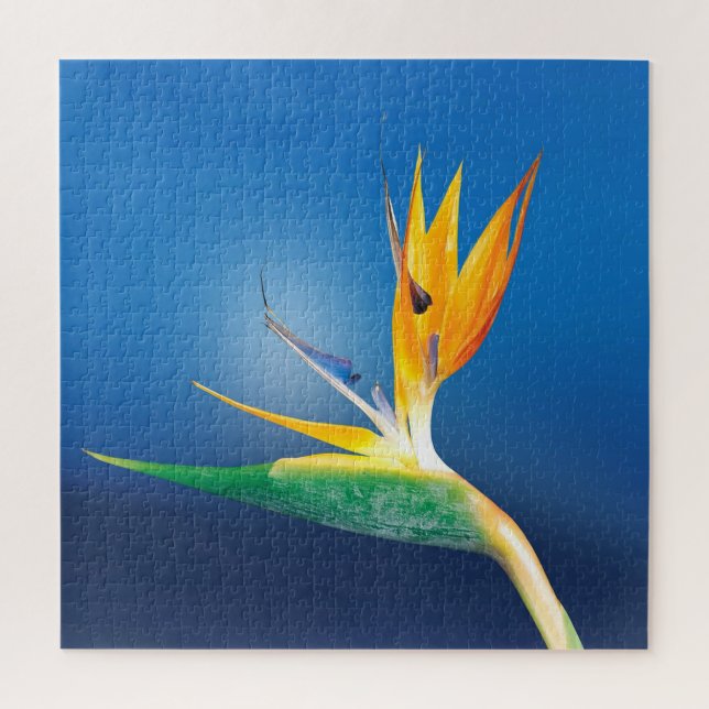 Paradiesvogel (Vertikal)