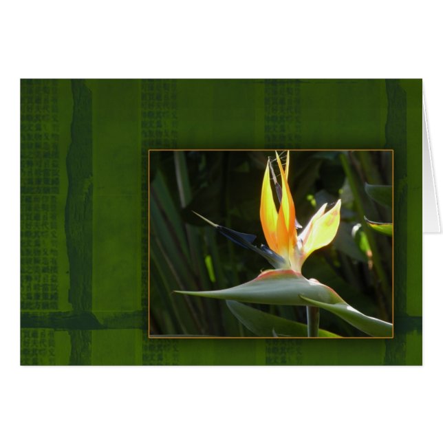 Paradiesvogel (Vorderseite (Horizontal))