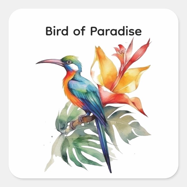 Paradiesvogel, anpassbar quadratischer aufkleber (Vorderseite)