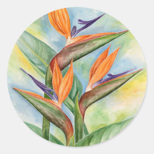 Paradiesvögel Aquarellfarben Blume Malerei Art Runder Aufkleber