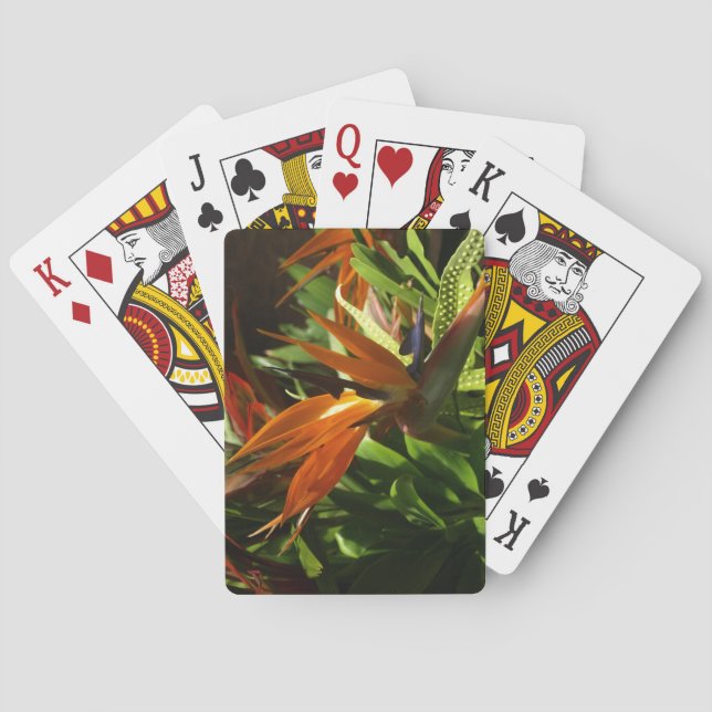 Paradiesvogel auf Spielkarte (Rückseite)