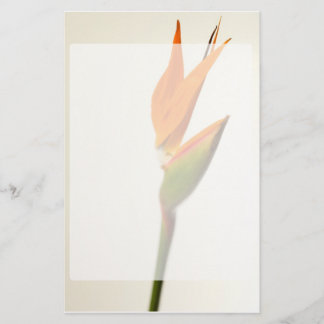 Paradiesvogel Blume Briefpapier
