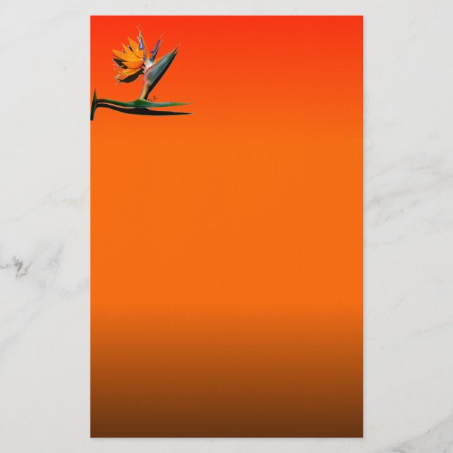 Paradiesvogel Blume Briefpapier (Vorderseite)