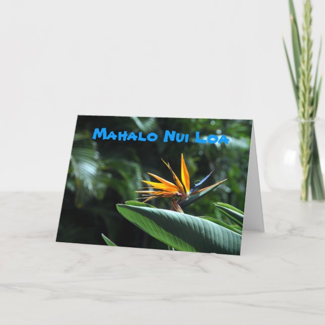 Paradiesvogel Blume danken Ihnen zu kardieren Dankeskarte (Vorderseite)