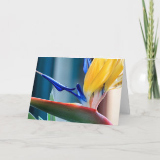 Paradiesvogel Blume Feiertagskarte