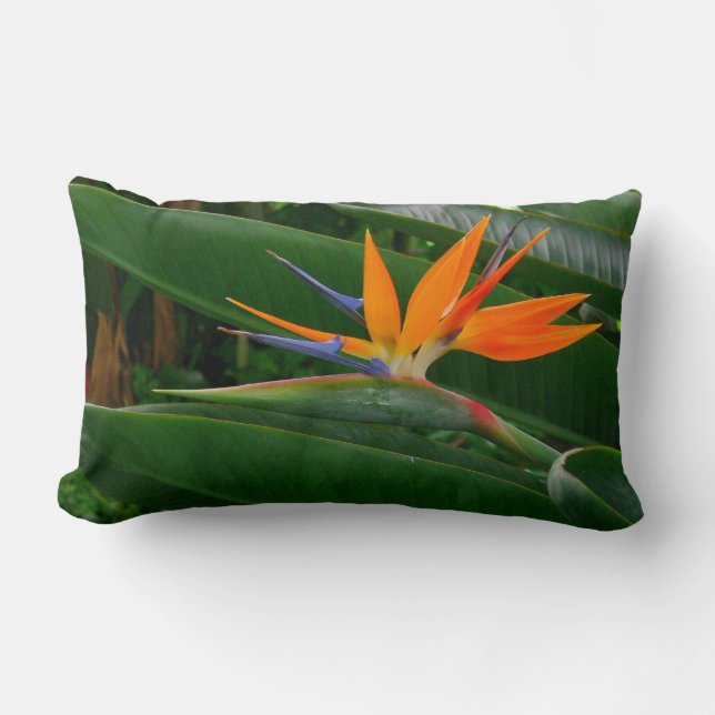 Paradiesvogel Blume (photog.) Lumbales Kissen (Vorderseite)