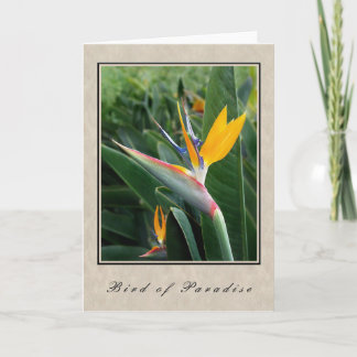 Paradiesvogel - Blumen-Reihe Karte