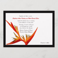 Paradiesvogel - Einladung in den weißen/schwarzen 