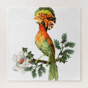Paradiesvögel: Exotischer floraler Hintergrund