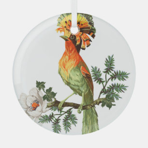 Paradiesvögel: Exotischer floraler Hintergrund Ornament Aus Glas