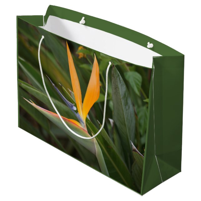 Paradiesvogel Große Geschenktüte (Rückseite Schrägansicht)