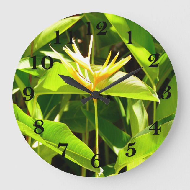 Paradiesvogel Große Wanduhr (Vorderseite)