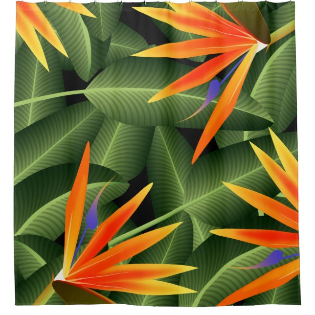 Paradiesvögel Insel botanisch Duschvorhang (Vorderseite)