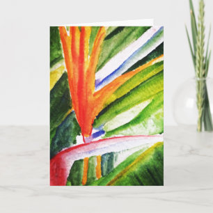 Paradiesvogel Karte