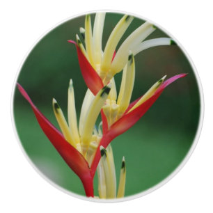 Paradiesvogel Keramikknauf