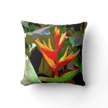Paradiesvogel