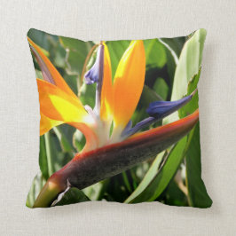 Paradiesvogel Kissen