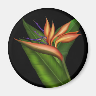 Paradiesvogel Magnet