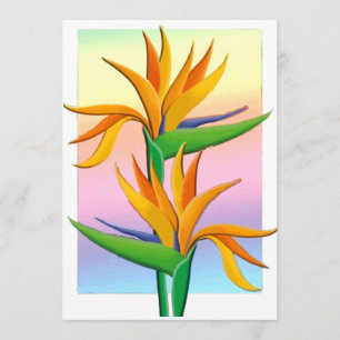 Paradiesvögel mit Rainbow-Hintergrund Einladung
