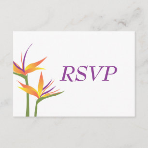 Paradiesvogel mit RSVP-Karte RSVP Karte