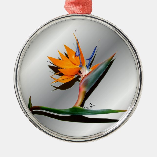 Paradiesvogel mit Schatten-Verzierung Ornament Aus Metall (Vorne)