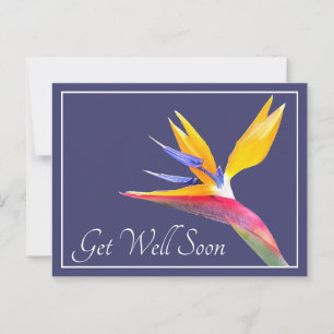 Paradiesvogel Navy Hintergrund Gute Besserung Postkarte