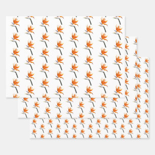 Paradiesvogel Orange Tropische Blume Geschenkpapier Set